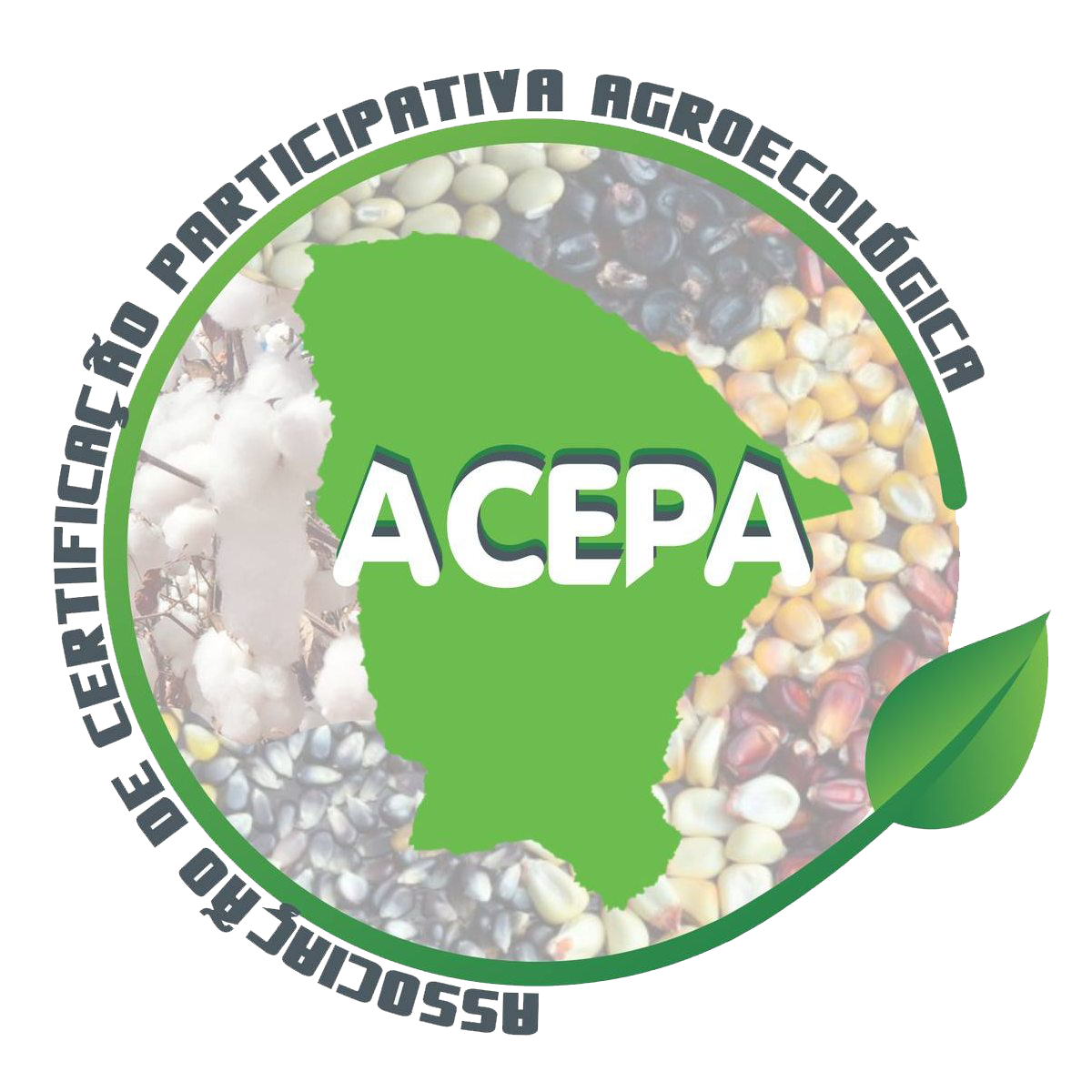 Associação Participativa de Agroecologia (ACEPA)